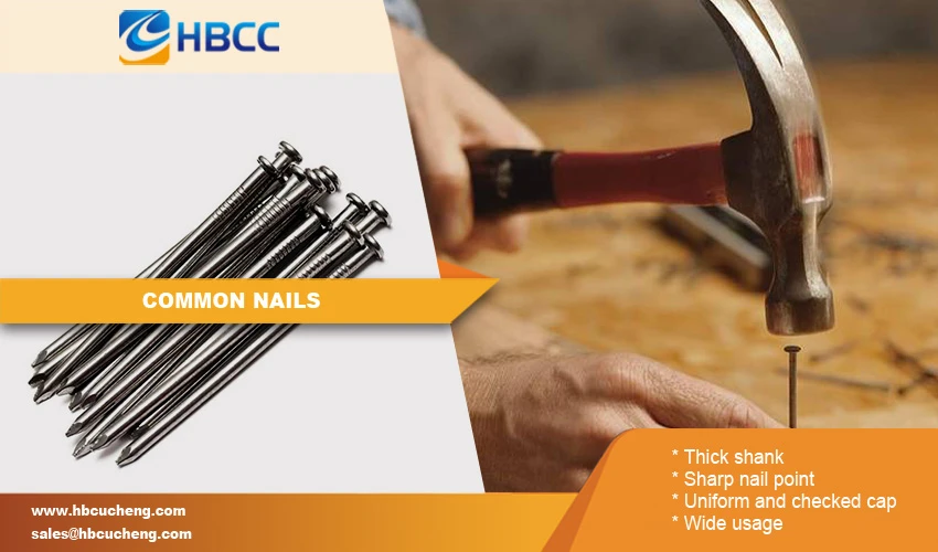product-850-500 electro galvanized common nails advantage